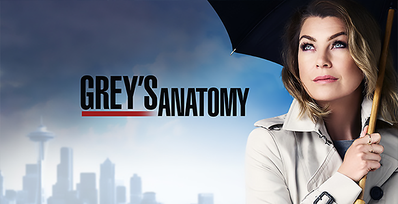Série 5 Grey's Anatomy