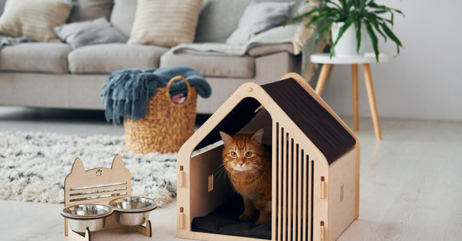 Dicas para montar um cantinho pet na sua casa